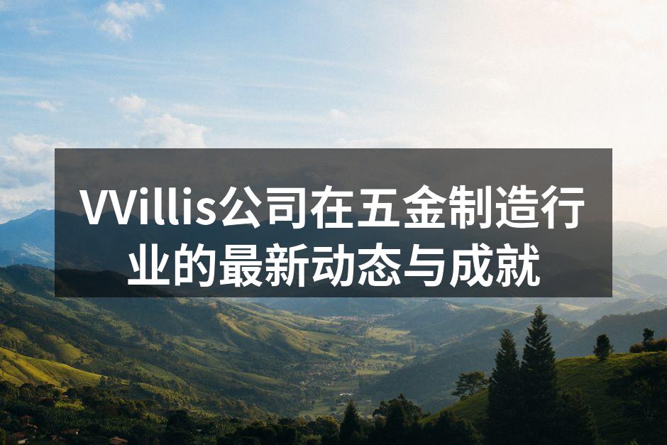 VVillis公司新产品发布会现场