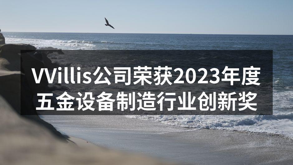 VVillis公司获奖现场