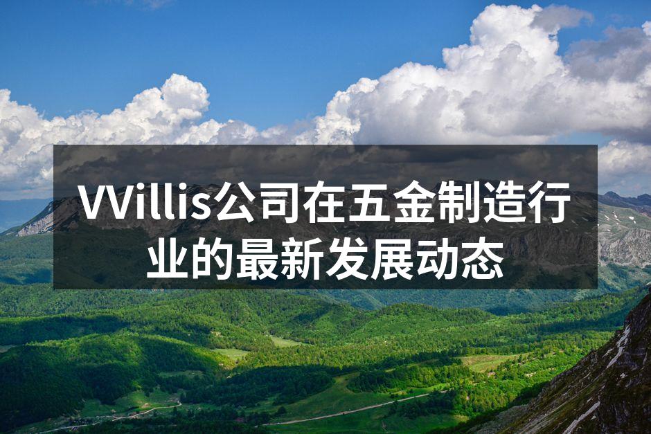 VVillis新产品发布会现场