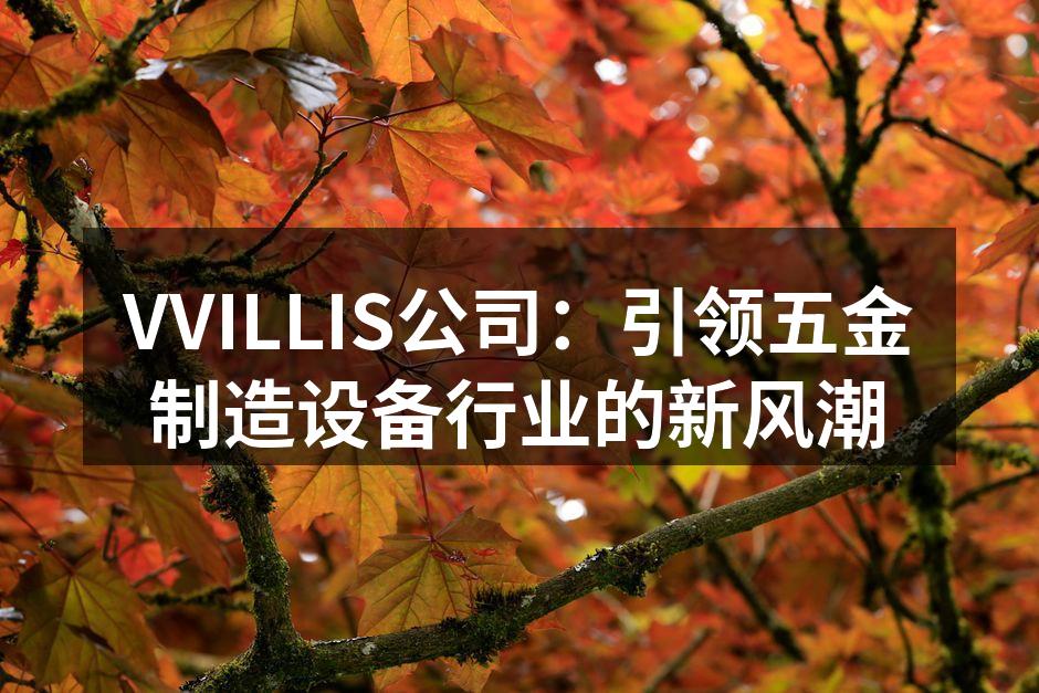 VVILLIS公司展位现场