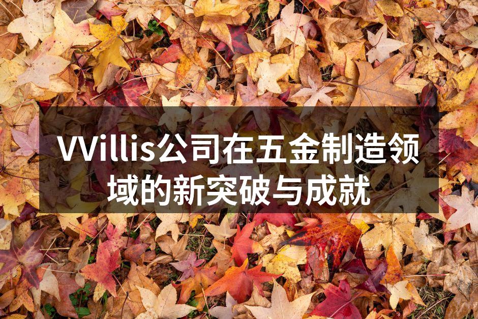 VVillis新智能锁具展示