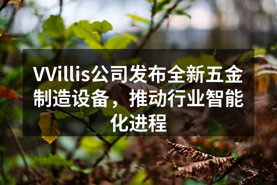 VVillis新设备发布会现场照片
